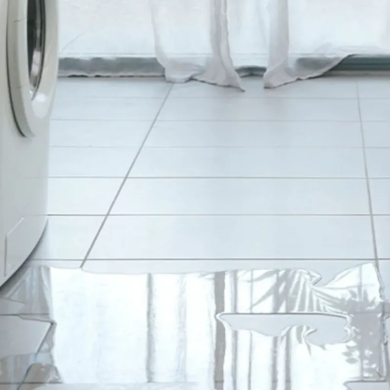 Appliance Leak Cleanup in Gravette, AR