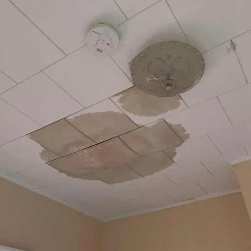 Ceiling Water Damage Repair in Gravette, AR