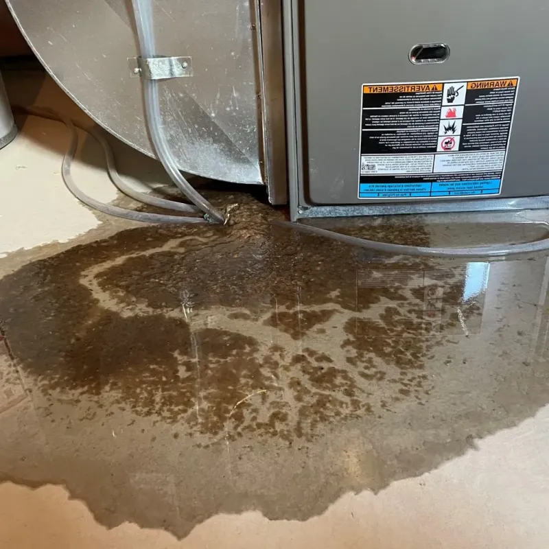 Pipe Burst and Leak Restoration in Gravette, AR