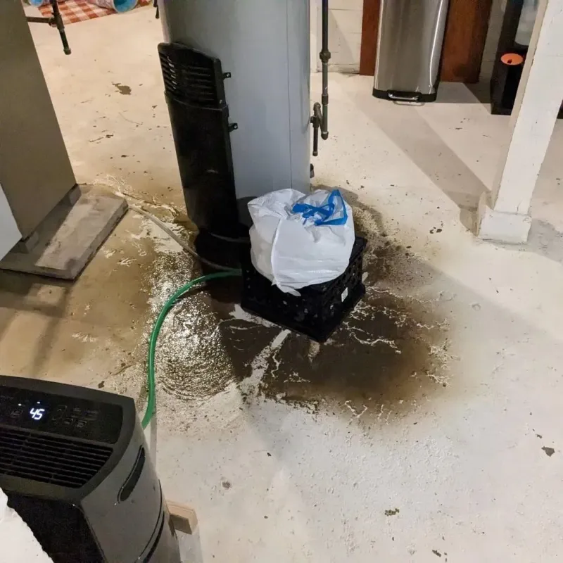 Sewage Backup Cleanup Service in Gravette, AR